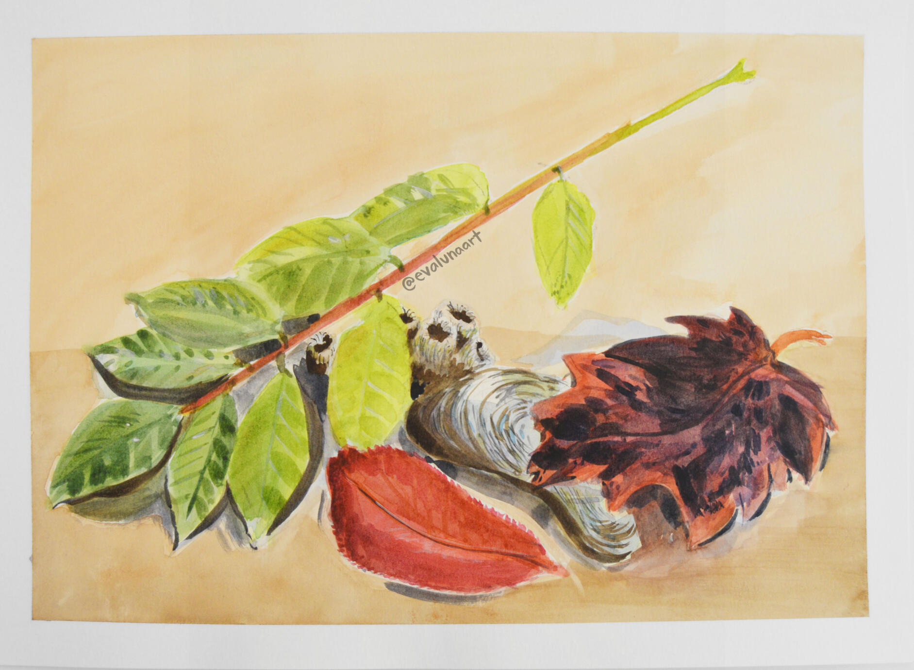 Watercolor Study