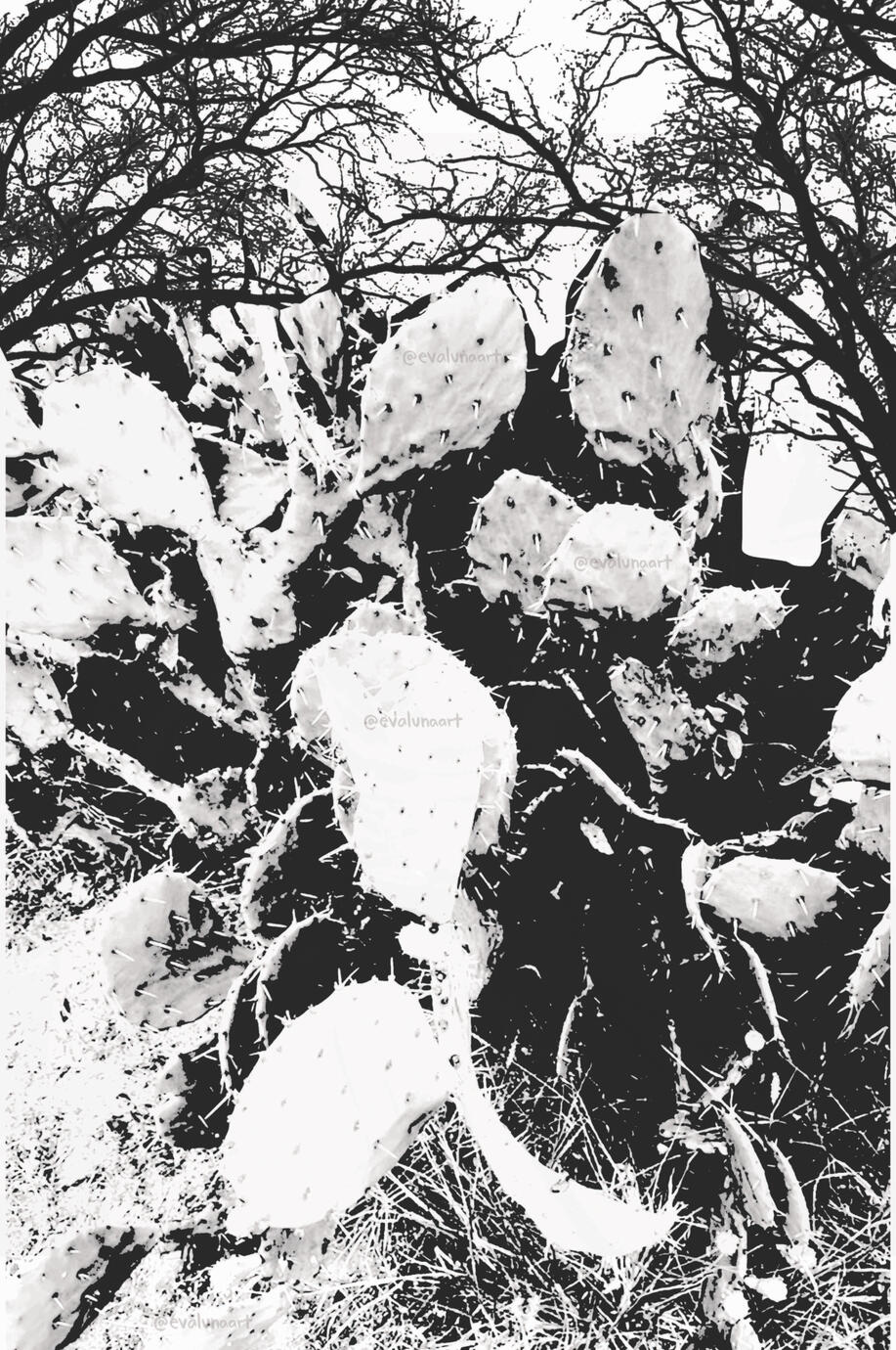 The Garden