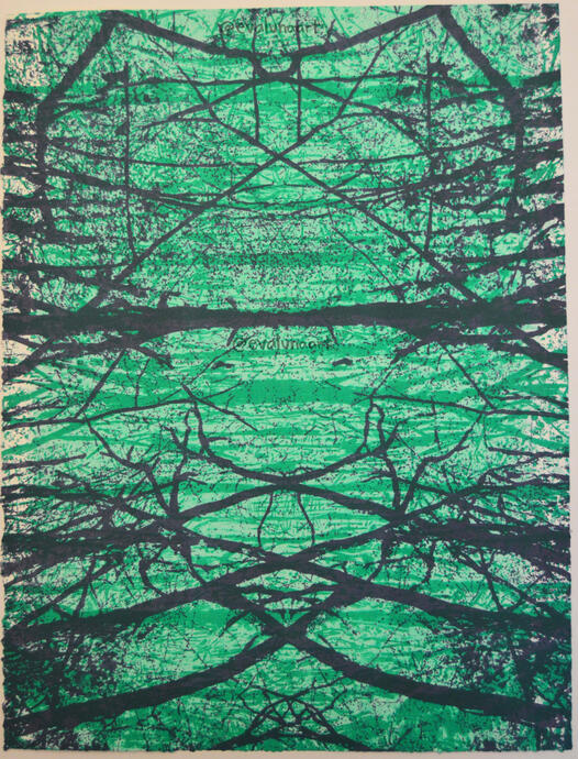 What Can We See Through the Trees 2